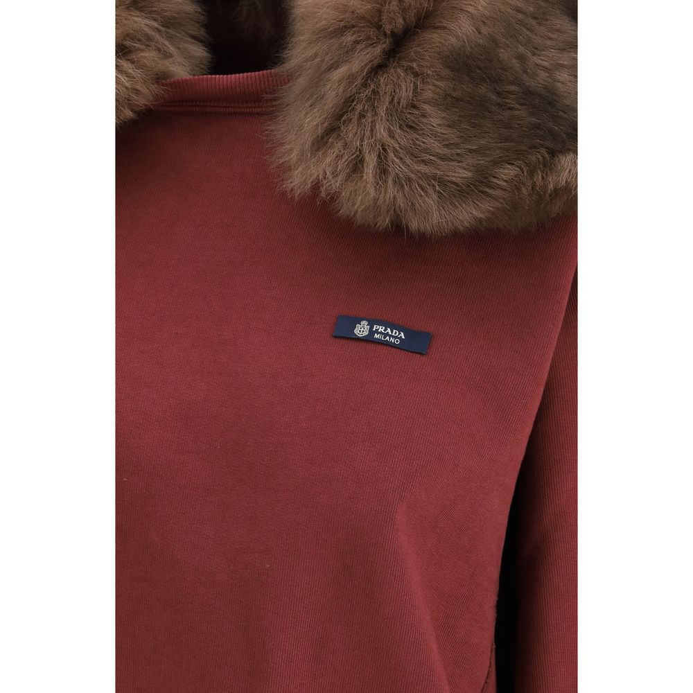 Sweatshirt With A Soft Shearling Collar
